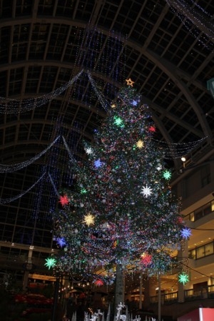 f:id:neverjp:20101107174548j:image