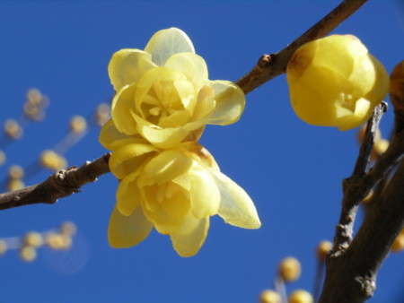 f:id:neverjp:20110125120000j:image