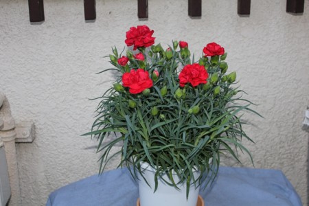 f:id:neverjp:20110504182353j:image