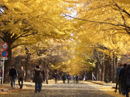 f:id:neverjp:20111106111515j:image