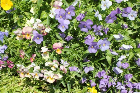 f:id:neverjp:20120626124752j:image f:id:neverjp:20120626124752j:image