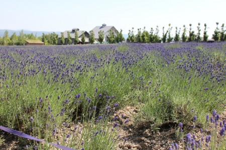 f:id:neverjp:20120626134502j:image f:id:neverjp:20120626134502j:image