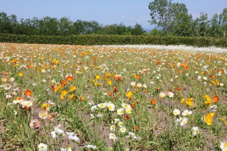 f:id:neverjp:20120626135437j:image f:id:neverjp:20120626135437j:image