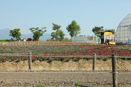 f:id:neverjp:20120626153609j:image f:id:neverjp:20120626153609j:image