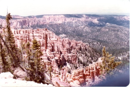 f:id:neverjp:20120717161501j:image