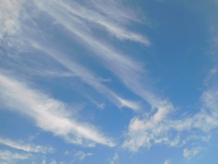 公園上の青い空