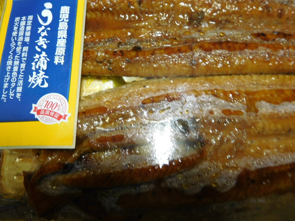 f:id:neverjp:20190726214624j:plain