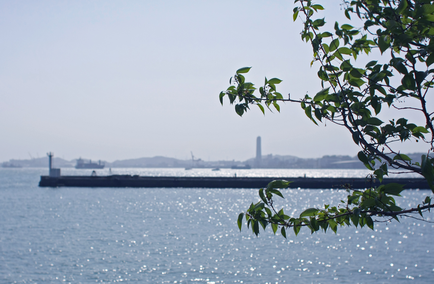 f:id:new-blue:20110509000841j:image:w950 f:id:new-blue:20110509000841j:image:w950