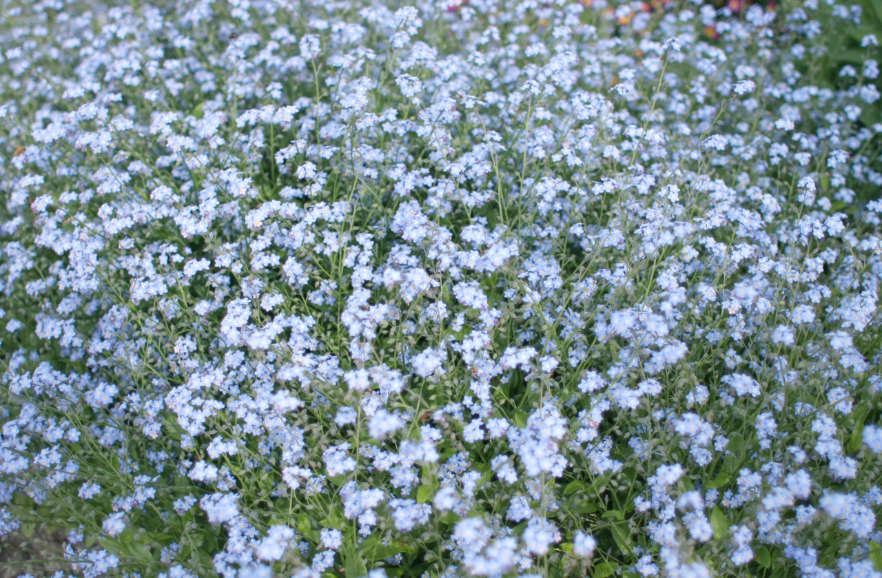 f:id:new-blue:20110509000846j:image:w950 f:id:new-blue:20110509000846j:image:w950