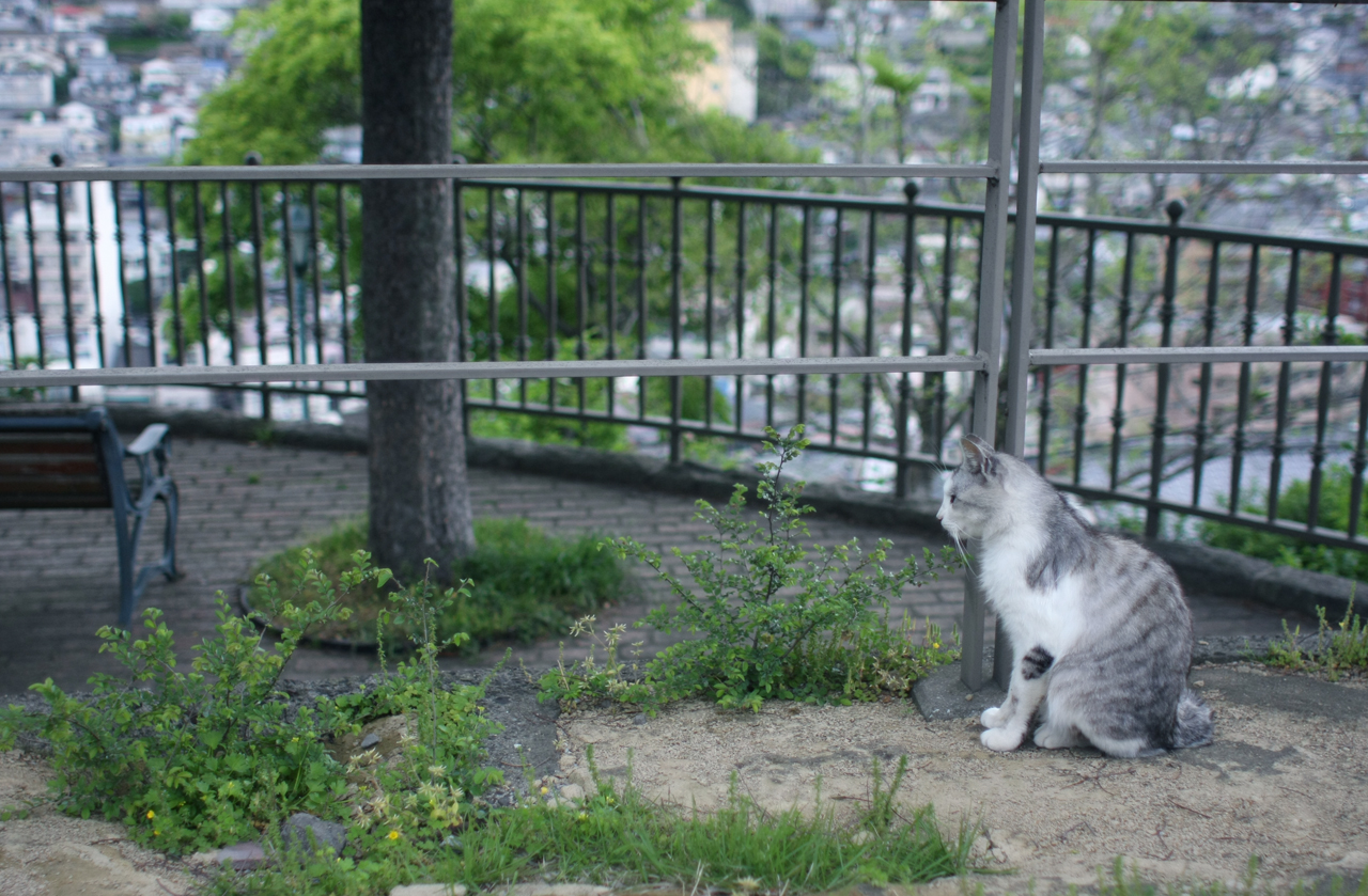 f:id:new-blue:20110509000848j:image:w950 f:id:new-blue:20110509000848j:image:w950