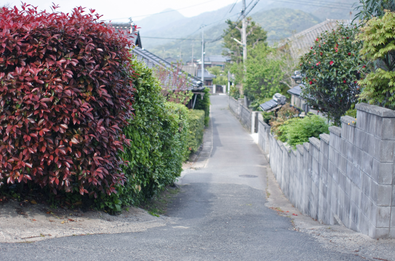 f:id:new-blue:20110512215441j:image:w950 f:id:new-blue:20110512215441j:image:w950
