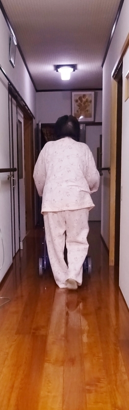 イメージ 5