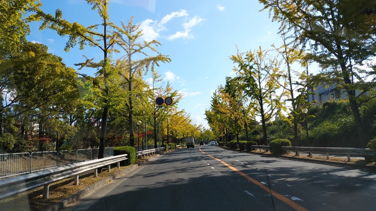 f:id:new-nanairo:20191113224118j:plain:w300 f:id:new-nanairo:20191113224118j:plain:w300