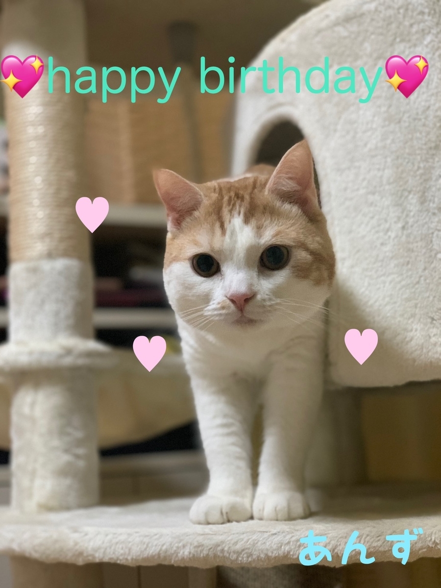 f:id:new-nanairo:20191117192822j:plain:w500