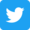 icon-Twitter