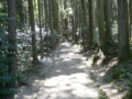 馬籠宿・諏訪神社の参道