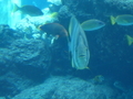 20191026121135