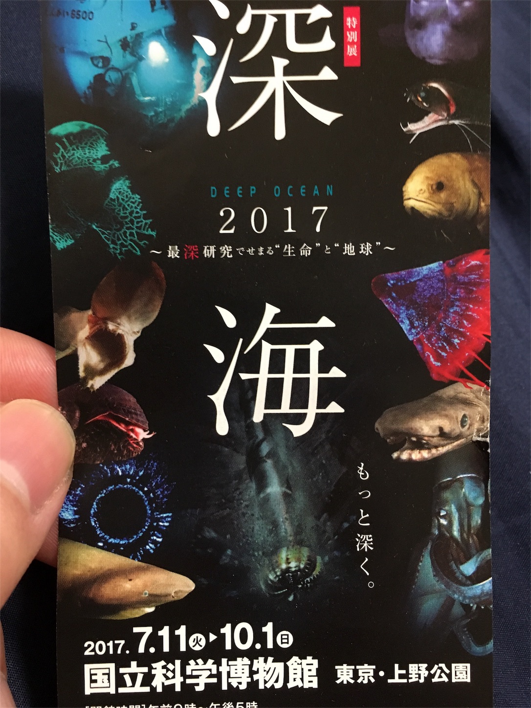 f:id:new_towada:20170728214543j:image