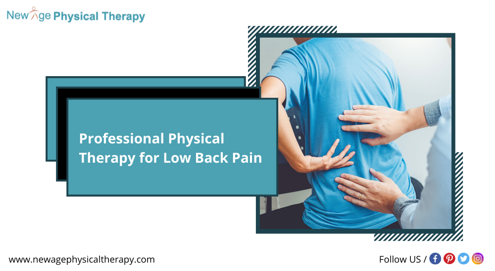 Professional Physical Therapy for Low Back Pain newagephysicaltherapy