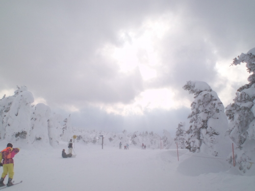 f:id:newcine:20110306155903j:image