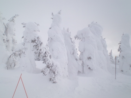 f:id:newcine:20110306155914j:image