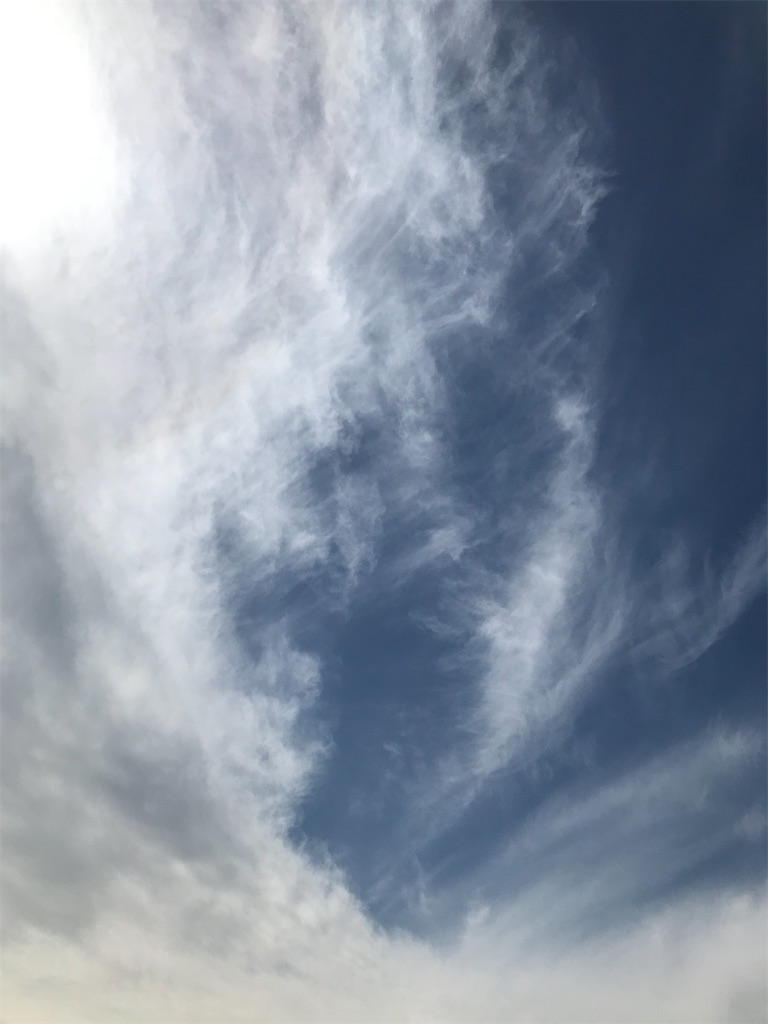f:id:newdayss:20220320195626j:plain