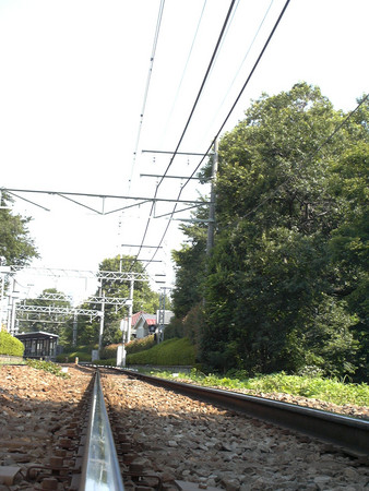 井の頭公園踏み切り