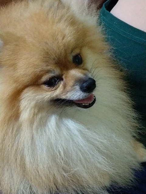 f:id:newgenworld:20210912144206j:image