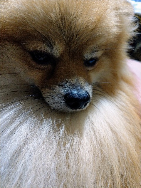 f:id:newgenworld:20211006232638j:image