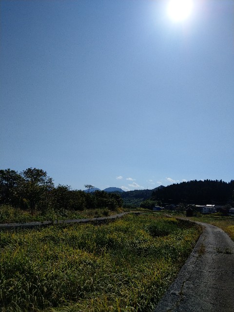 f:id:newgenworld:20211010123951j:image
