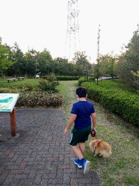 f:id:newgenworld:20211011000558j:image