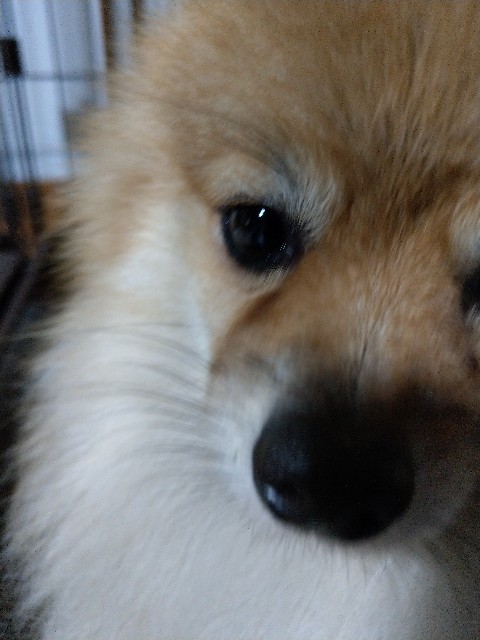 f:id:newgenworld:20211014191028j:image