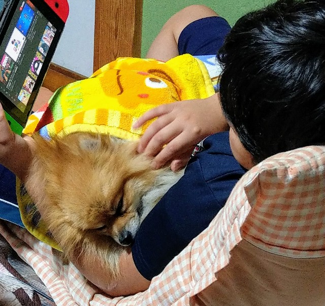 f:id:newgenworld:20211019194355j:image