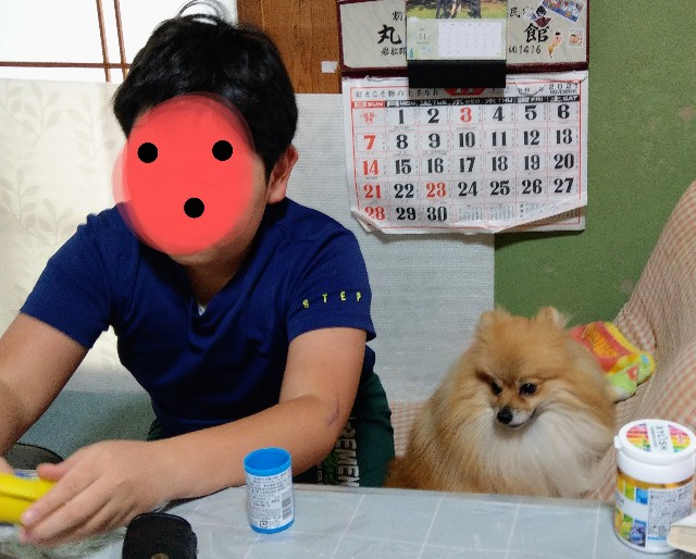 f:id:newgenworld:20211103131801j:image