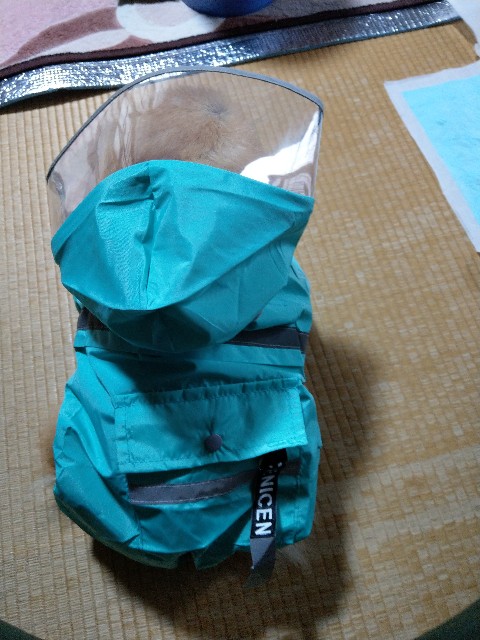 f:id:newgenworld:20211111221923j:image