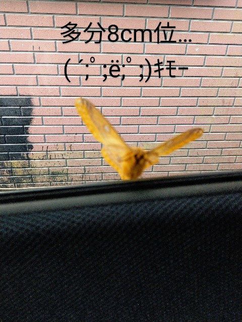f:id:newgenworld:20211111224059j:image f:id:newgenworld:20211111224059j:image