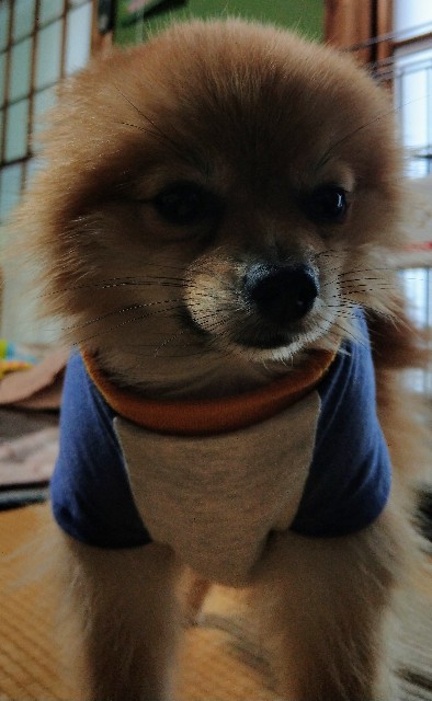 f:id:newgenworld:20211119213917j:image