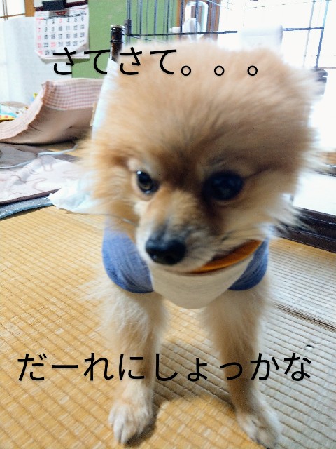 f:id:newgenworld:20211121231548j:image