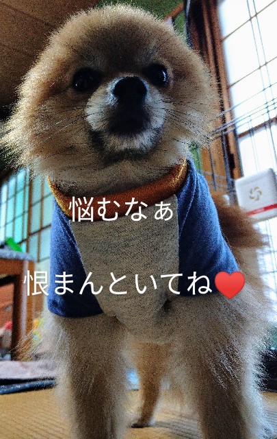 f:id:newgenworld:20211121231559j:image
