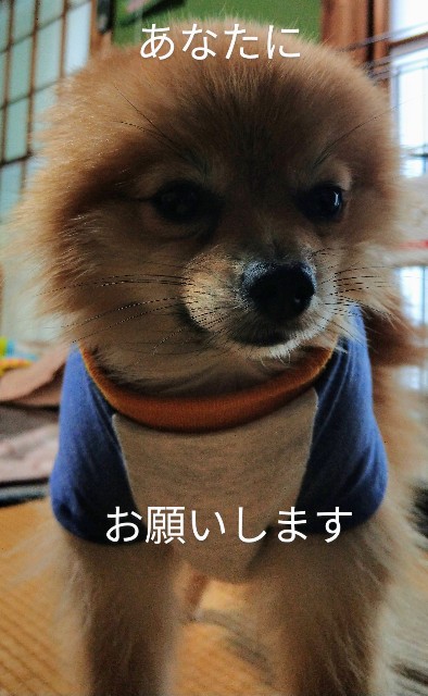 f:id:newgenworld:20211121231608j:image f:id:newgenworld:20211121231608j:image