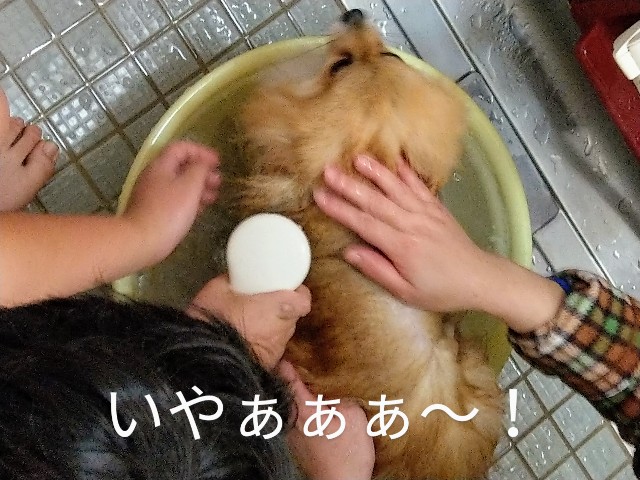 f:id:newgenworld:20211123153809j:image f:id:newgenworld:20211123153809j:image