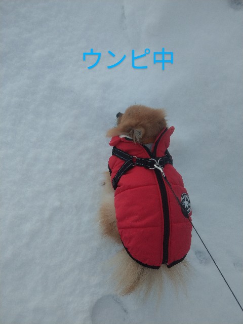 f:id:newgenworld:20220106204439j:image