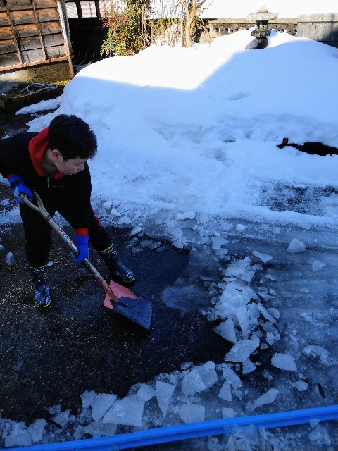 f:id:newgenworld:20220111001705j:image f:id:newgenworld:20220111001705j:image