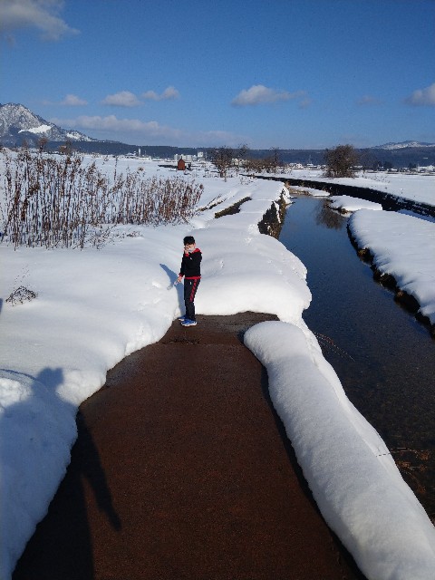 f:id:newgenworld:20220115194439j:image