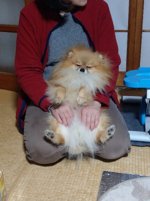 f:id:newgenworld:20220115200544j:image