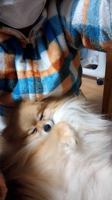 f:id:newgenworld:20220121144852j:image