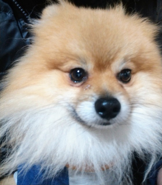 f:id:newgenworld:20220129114748j:image