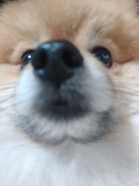 f:id:newgenworld:20220129115628j:image