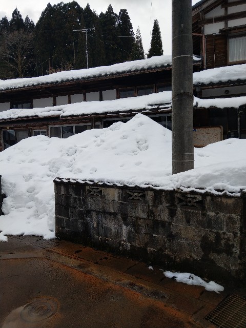 f:id:newgenworld:20220129121548j:image