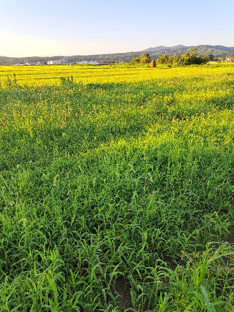 f:id:newgenworld:20220821210206j:image f:id:newgenworld:20220821210206j:image